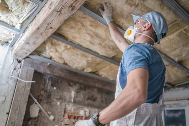 Best Geographic-Specific Insulation Services in Stepney, CT