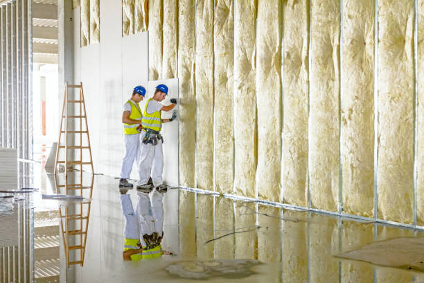 Types of Insulation We Offer in Stepney, CT